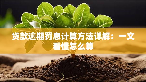 贷款逾期罚息计算方法详解：一文看懂怎么算