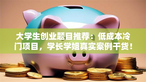 大学生创业题目推荐：低成本冷门项目，学长学姐真实案例干货！