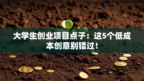 大学生创业项目点子：这5个低成本创意别错过！