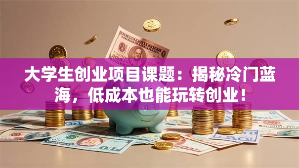 大学生创业项目课题：揭秘冷门蓝海，低成本也能玩转创业！