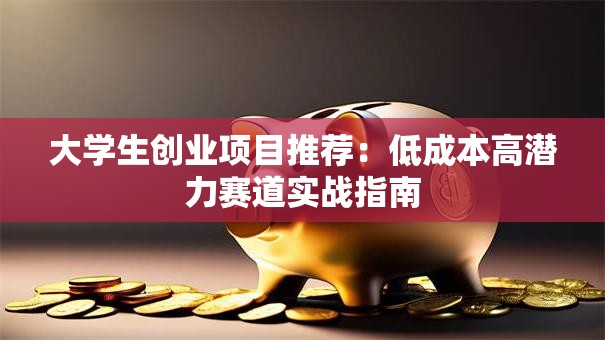 大学生创业项目推荐：低成本高潜力赛道实战指南