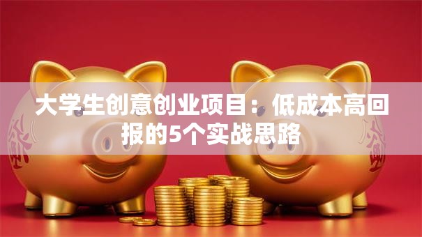 大学生创意创业项目：低成本高回报的5个实战思路