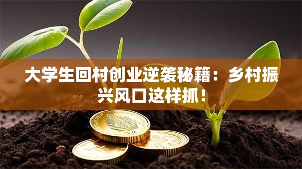 大学生回村创业逆袭秘籍：乡村振兴风口这样抓！