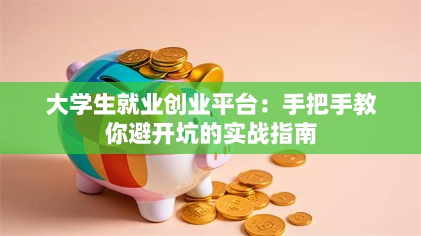 大学生就业创业平台：手把手教你避开坑的实战指南