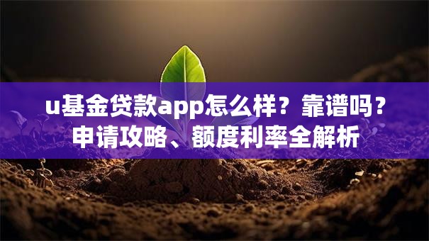 u基金贷款app怎么样？靠谱吗？申请攻略、额度利率全解析