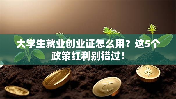 大学生就业创业证怎么用？这5个政策红利别错过！