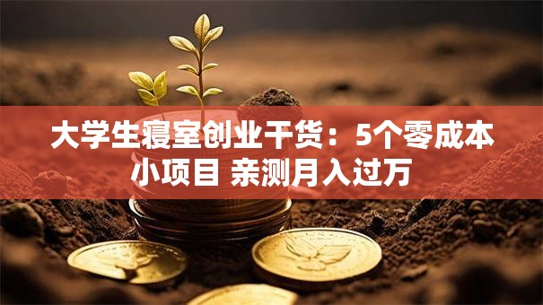 大学生寝室创业干货：5个零成本小项目 亲测月入过万