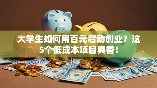 大学生如何用百元启动创业？这5个低成本项目真香！