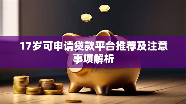 17岁可申请贷款平台推荐及注意事项解析