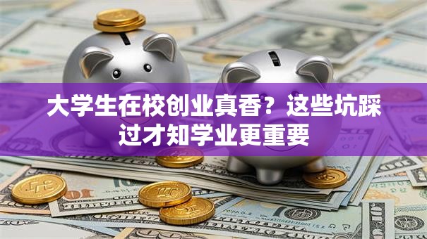大学生在校创业真香？这些坑踩过才知学业更重要
