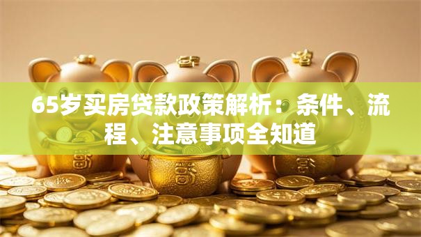 65岁买房贷款政策解析：条件、流程、注意事项全知道