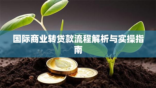 国际商业转贷款流程解析与实操指南 国际商业转贷款流程解析与实操指南