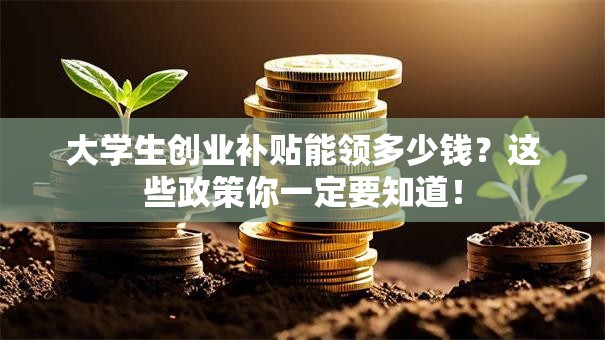 大学生创业补贴能领多少钱？这些政策你一定要知道！