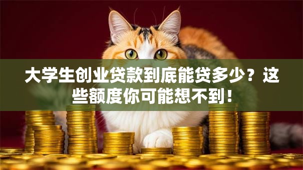 大学生创业贷款到底能贷多少？这些额度你可能想不到！