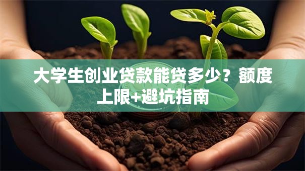 大学生创业贷款能贷多少？额度上限+避坑指南