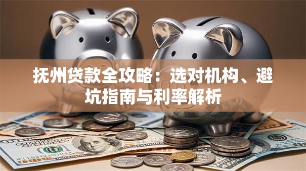 抚州贷款全攻略：选对机构、避坑指南与利率解析
