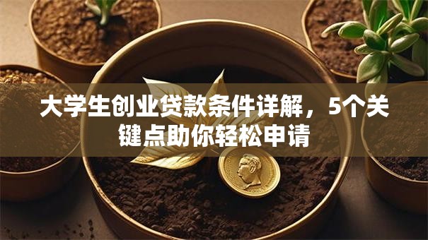 大学生创业贷款条件详解，5个关键点助你轻松申请