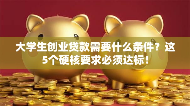 大学生创业贷款需要什么条件？这5个硬核要求必须达标！