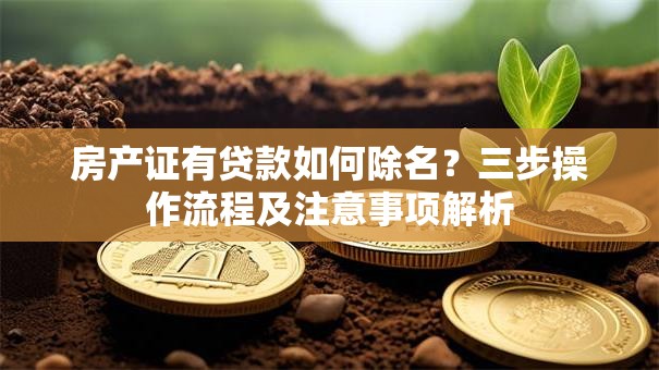 房产证有贷款如何除名？三步操作流程及注意事项解析