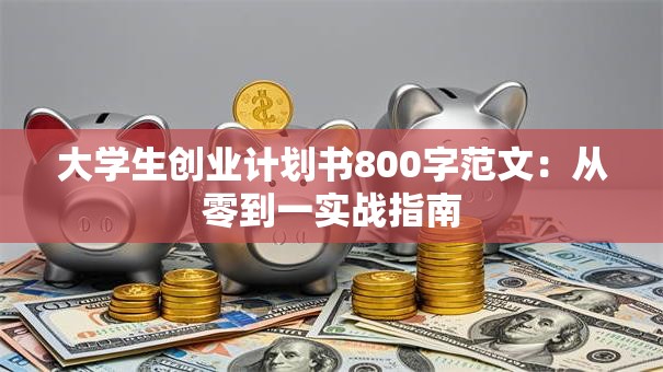 大学生创业计划书800字范文：从零到一实战指南