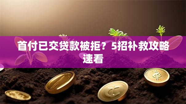 首付已交贷款被拒？5招补救攻略速看