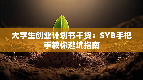 大学生创业计划书干货：SYB手把手教你避坑指南