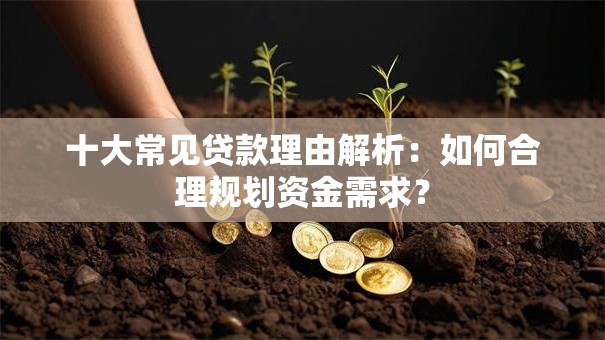 十大常见贷款理由解析：如何合理规划资金需求？