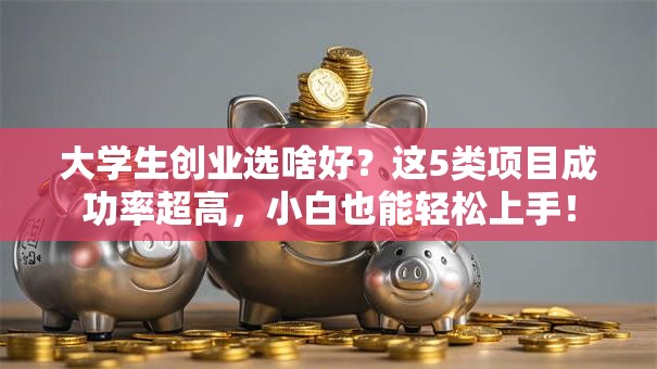大学生创业选啥好？这5类项目成功率超高，小白也能轻松上手！