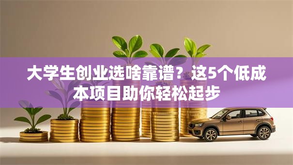 大学生创业选啥靠谱？这5个低成本项目助你轻松起步
