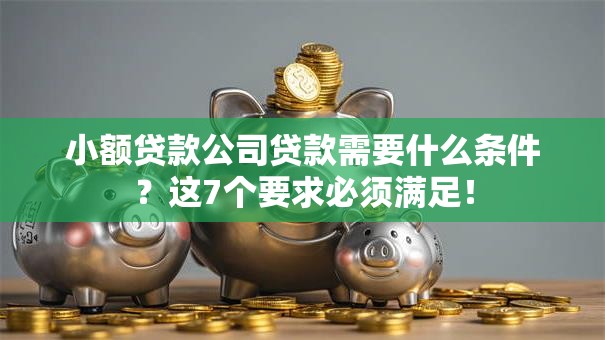 小额贷款公司贷款需要什么条件？这7个要求必须满足！
