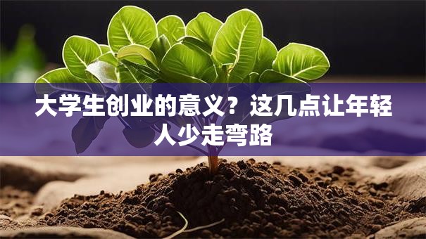 大学生创业的意义？这几点让年轻人少走弯路
