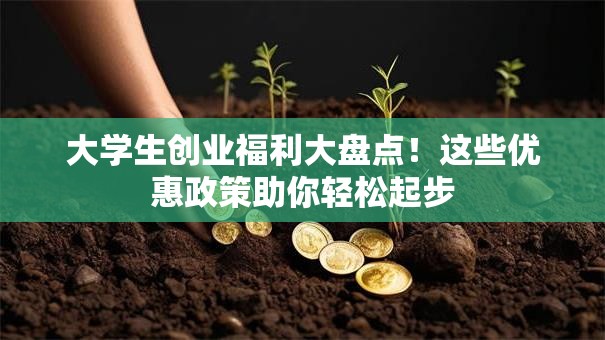 大学生创业福利大盘点！这些优惠政策助你轻松起步