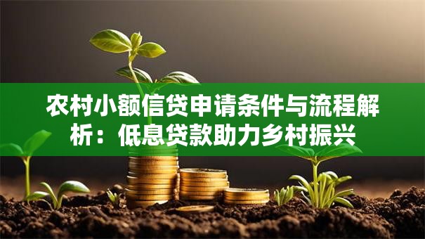 农村小额信贷申请条件与流程解析：低息贷款助力乡村振兴