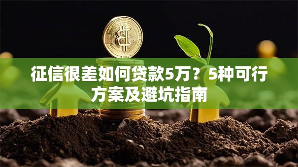 征信很差如何贷款5万？5种可行方案及避坑指南