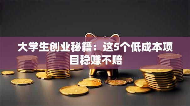 大学生创业秘籍：这5个低成本项目稳赚不赔