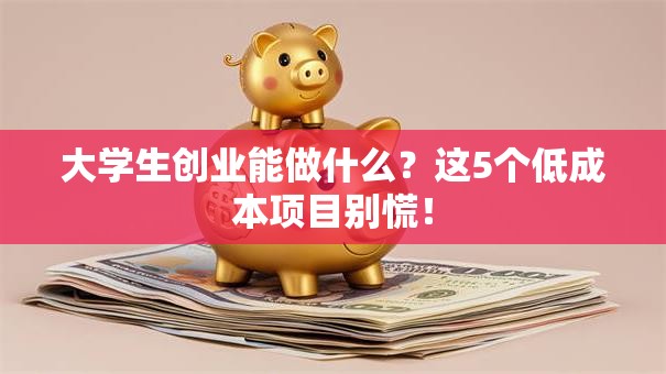 大学生创业能做什么？这5个低成本项目别慌！