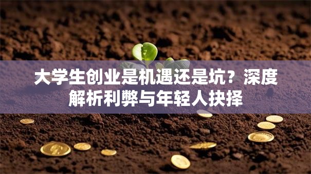 大学生创业是机遇还是坑？深度解析利弊与年轻人抉择
