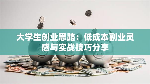 大学生创业思路：低成本副业灵感与实战技巧分享