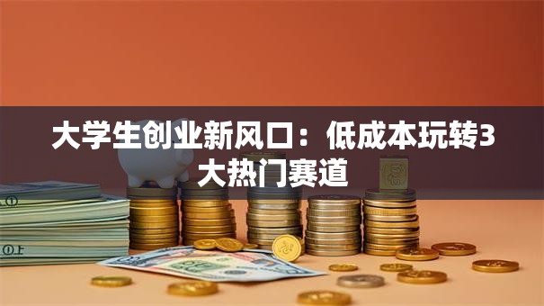 大学生创业新风口：低成本玩转3大热门赛道