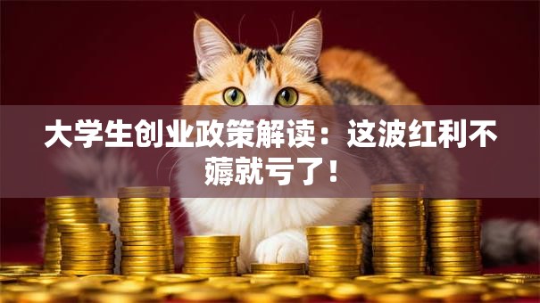 大学生创业政策解读：这波红利不薅就亏了！