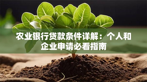 农业银行贷款条件详解：个人和企业申请必看指南