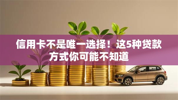 信用卡不是唯一选择！这5种贷款方式你可能不知道