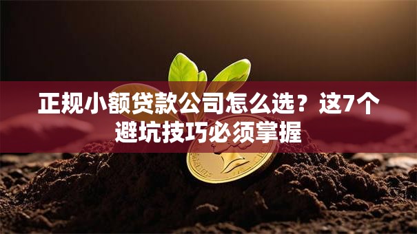 正规小额贷款公司怎么选？这7个避坑技巧必须掌握