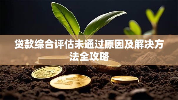 贷款综合评估未通过原因及解决方法全攻略