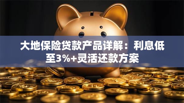 大地保险贷款产品详解：利息低至3%+灵活还款方案