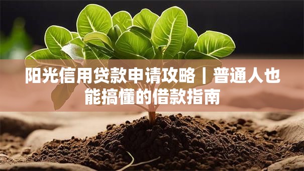 阳光信用贷款申请攻略｜普通人也能搞懂的借款指南