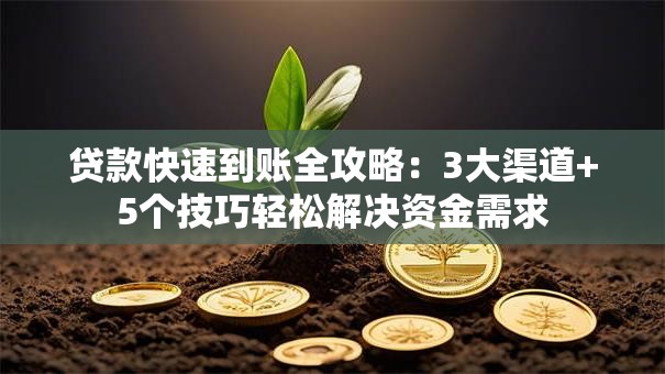 贷款快速到账全攻略：3大渠道+5个技巧轻松解决资金需求