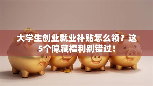 大学生创业就业补贴怎么领？这5个隐藏福利别错过！