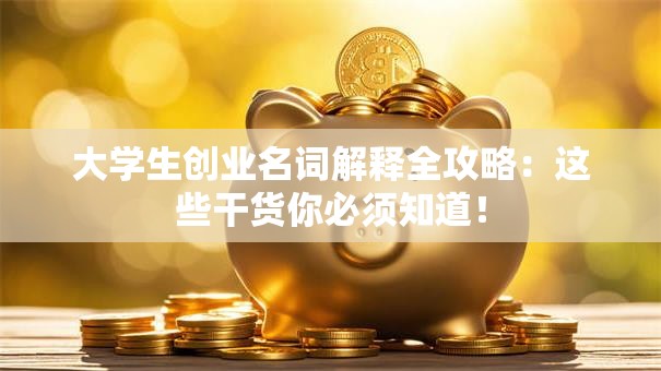 大学生创业名词解释全攻略：这些干货你必须知道！