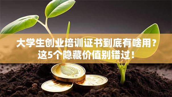 大学生创业培训证书到底有啥用？这5个隐藏价值别错过！